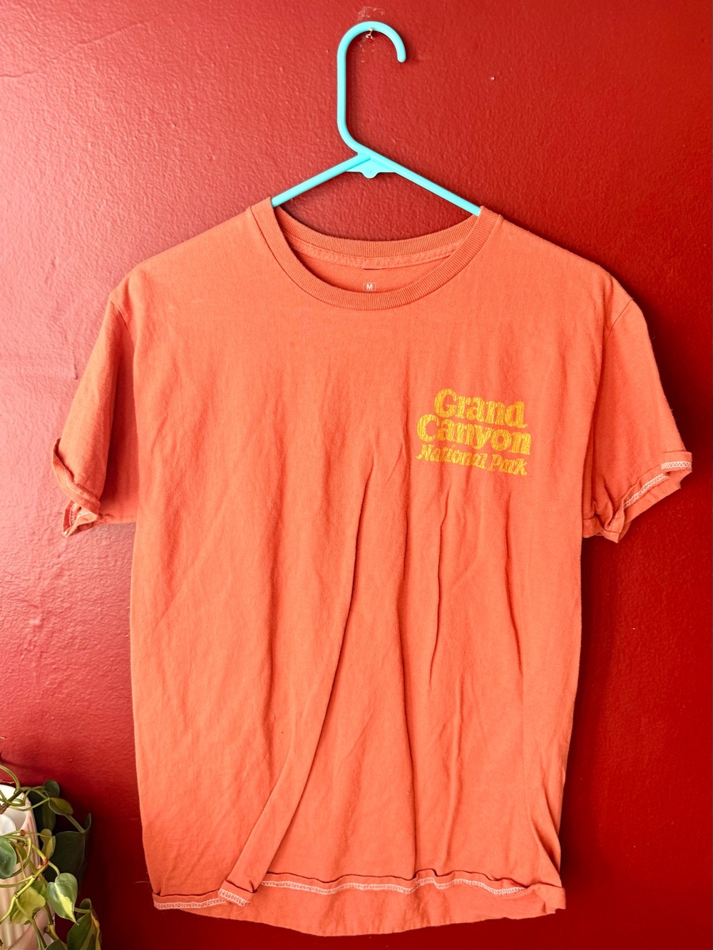 Strange Daze Grand Canyon National Park Graphic Tee - Size M